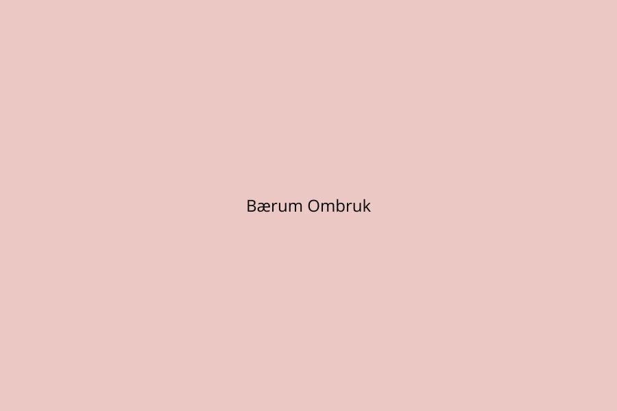 Plakat for Bærum Omruk