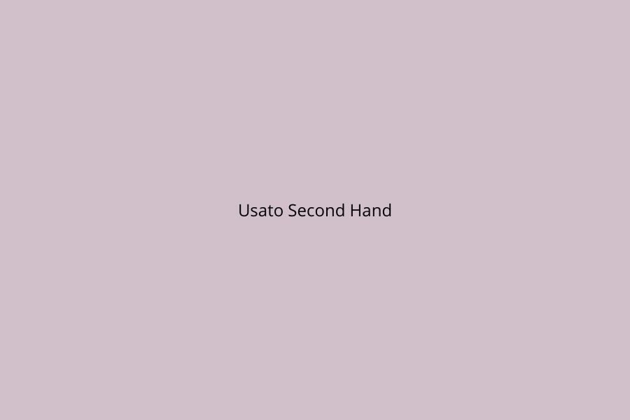 Plakat for Usato Second Hand