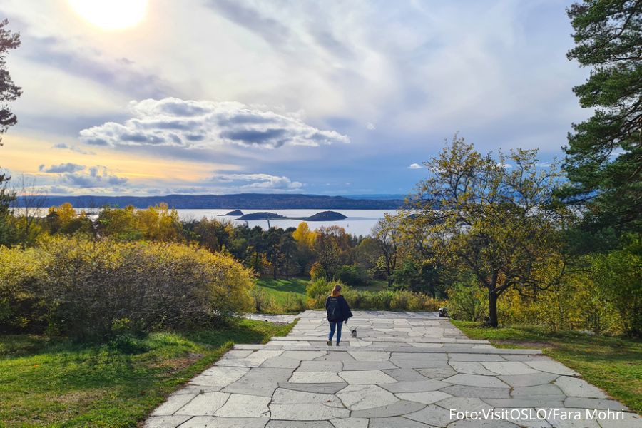 Utsikt over Oslofjorden fra Ekebergparken i Oslo syd