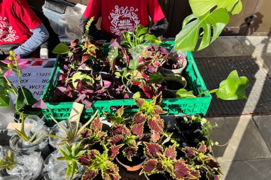 En blomsteravdeling utendørs hos Bøler og Nøklevann sitt loppemarked på Ulsrud videregående skole