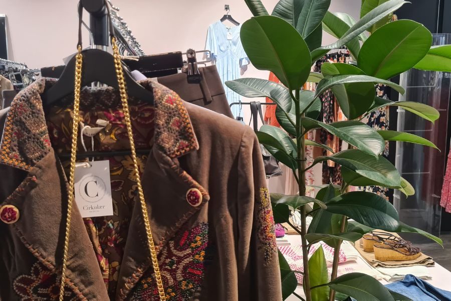 dekorativ plante hos cirkulær fornebu