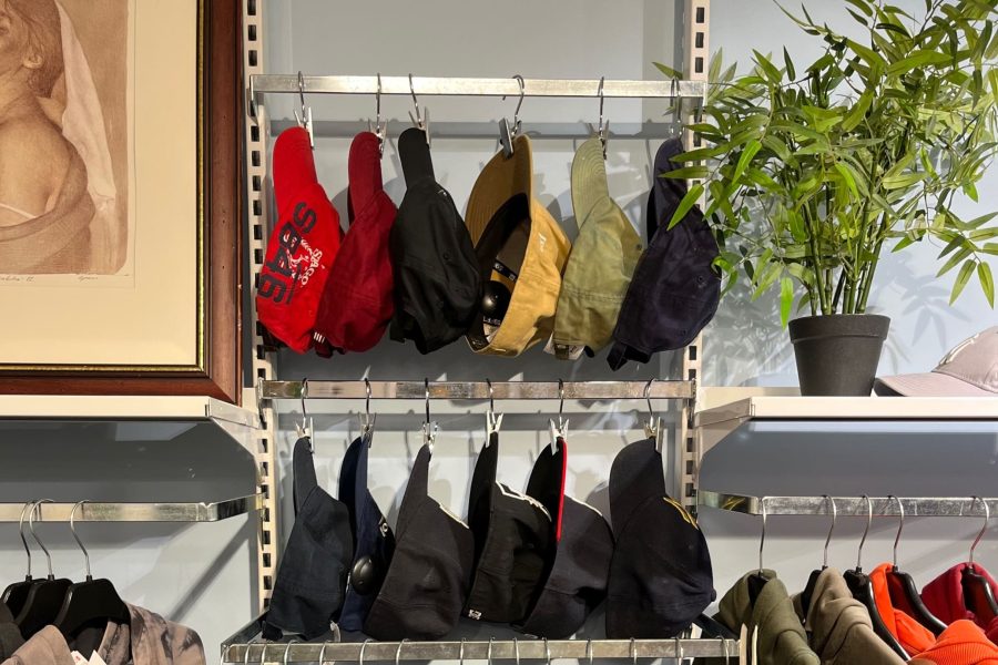 Bildet av capser og en plante på Fretex Arkivet Universitetsgata