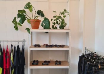 hylle med solrbiller og plante hos v06 på grunerløkka