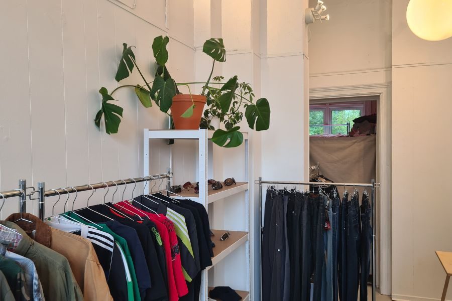 Brukte herreklær og hylle med plante hos V06 på Grunerløkka